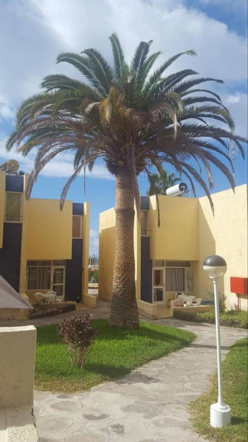 Duplex El Cortijo, Lasamericas Πλάγια ντε λας Αμέρικας Εξωτερικό φωτογραφία
